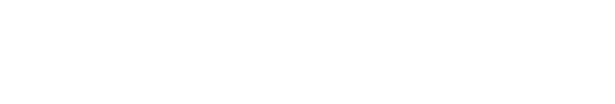 Patagon Logo